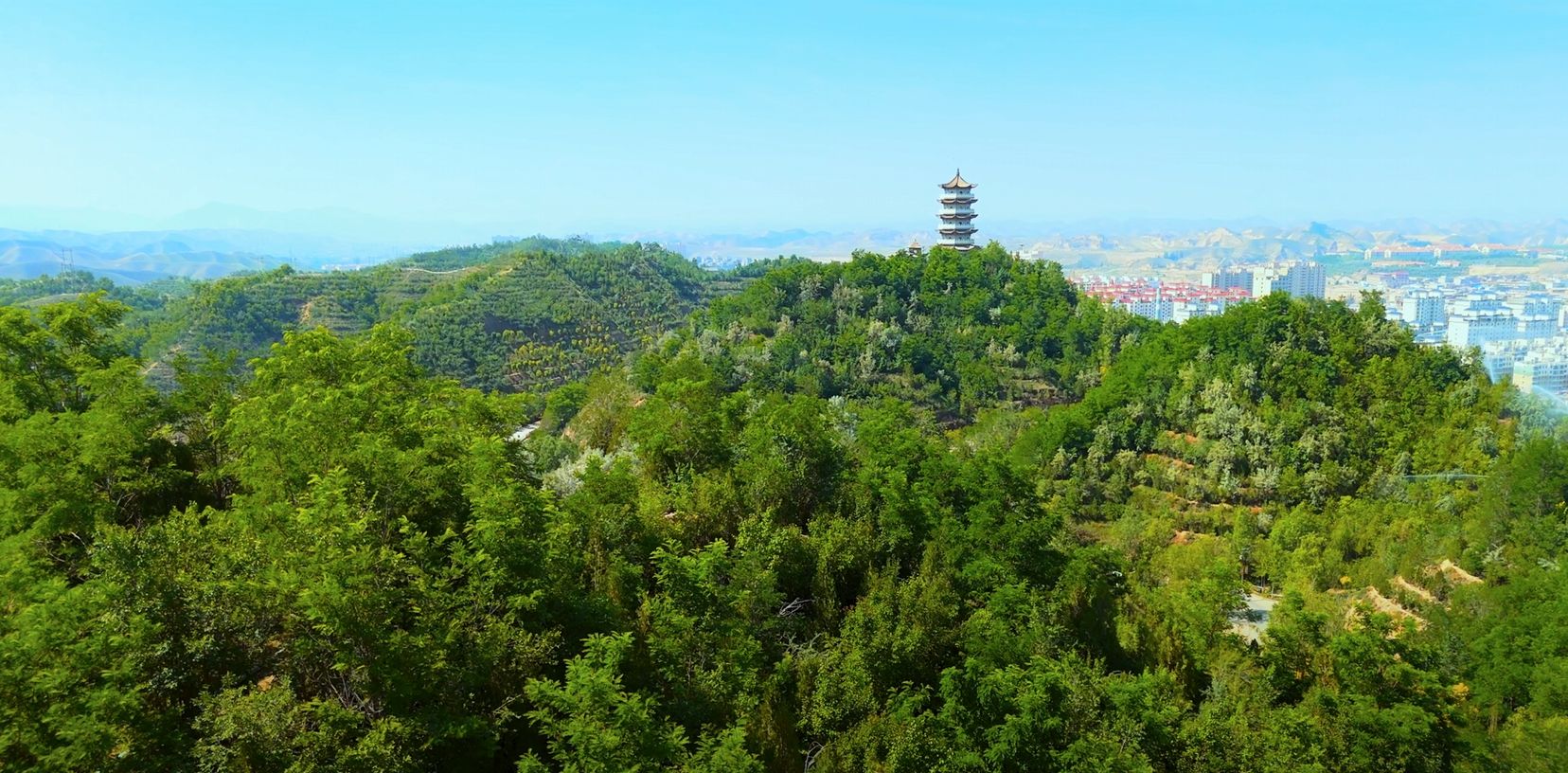 东山森林公园